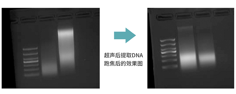 non-contact ultrasonic processors